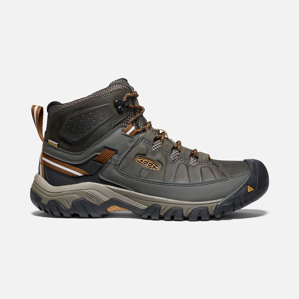 Bottes de Randonnée Keen Homme Vert Olive/Noir | Targhee Iii Waterproof Mid | WCSZL-1293